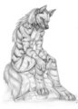 Zuberi by korrok