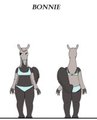 Bonnie and CO: Bonnie Reference Sheet by BonnieandCo