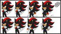 Shadow Expressions_EC