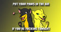 Put Your Paws In The Air by MasterGuil