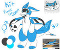 Meet  Kit the genderfluid model Plane dragon! by TheLittleShapeshifter