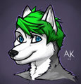 New Style Test by Akemi