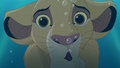 Simba uw (the lion king)