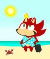 RAV ON VACATION