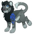 New adoption - Ziko 