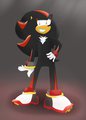 Fabulous Shadow by Flamez