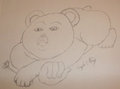 koala bare by PurpleGriffin