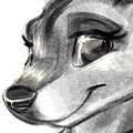 Patreon Sketches - How far do you think it'll go? by Carrot