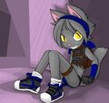 Little Grey Cat by paige