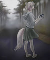 ciel - fog photos by mitsene