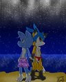 Under the Starry Night