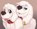 Generic Closeup Romantic Photo by Leosaeta
