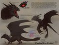 Ciardha Reference v3 2016 by AshasCadence