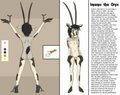 Imamu the Oryx Reference Page by Kirapac