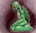 Collared Raph by blackdragonsama