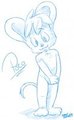 Poco by Roarey by Poco