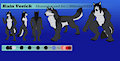 Kain Vorick Character Sheet by Killerwolf1020
