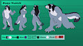 Bane Vorick Character Sheet  by Killerwolf1020