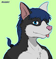 Maho Portrait - by Tenecayr by mahogato
