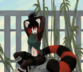 red panda kunoichi by mitsene