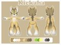 $kickahaota