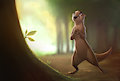 Rudderbutt in the Forest by Zaush