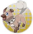 Iwanko