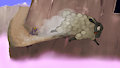 Spyro 1 - Day 14 - High Caves 1 by VioletEchoes