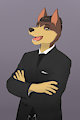Business dog