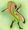 Qurupeco Booty by Lizet