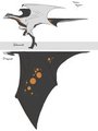 Tereus wyvern ref by Tereus