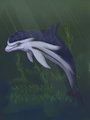 Coeru leoa the striped dolphin by Tereus