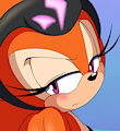 Echidnas and Bikinis by senshion