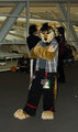 Wild Jake Lioner Appears! by JakeLioner83