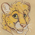 CFZ16 Stuff - Sketch by Tazara