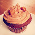 Nutella Cupcake