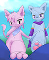 paws by Paliken