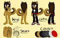 Daryl Ref Sheet by GothicDecay