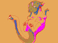 little demon by alari
