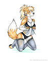 Sambers by korrok