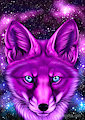 Galaxy Fox by korrok