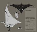 Tereus Ref 2.5 by Tereus