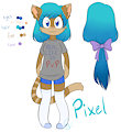 Pixel by PixelKat