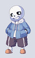 Sans by Exige