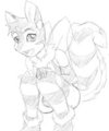look at Squee
