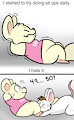 Sit Ups