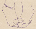 Shy Paws by antiroo