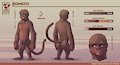Bongos reference sheet (SFW version)