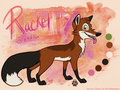 Racket Reference by LostWolfSpirit