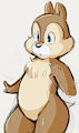 Chipmunks by Dandi